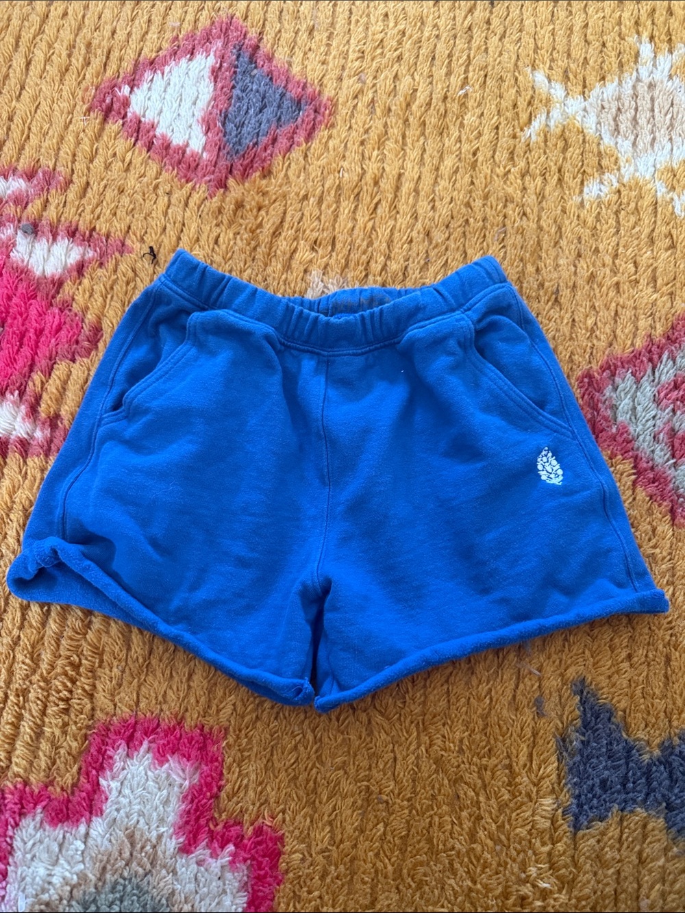 Free people blue sweat shorts